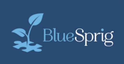 BlueSprig Pediatrics logo